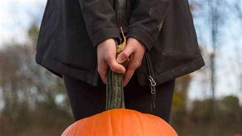The magic of the bewitched pumpkin unleashed